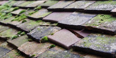 Langford roof repair costs